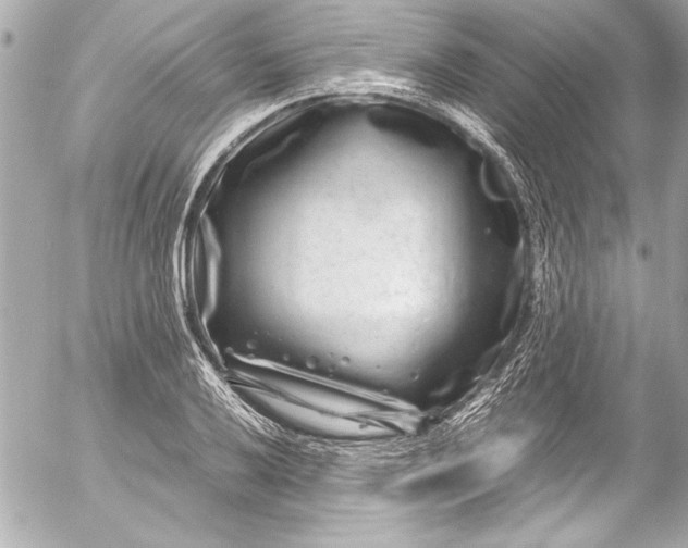 X0000054471032200508191722