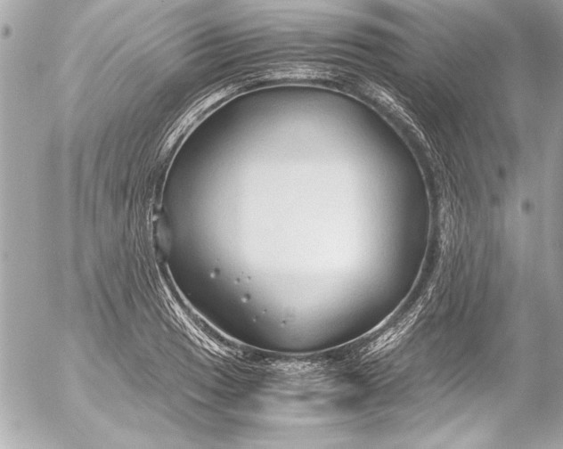 X0000054471033200508191722