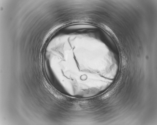 X0000054471035200508191723