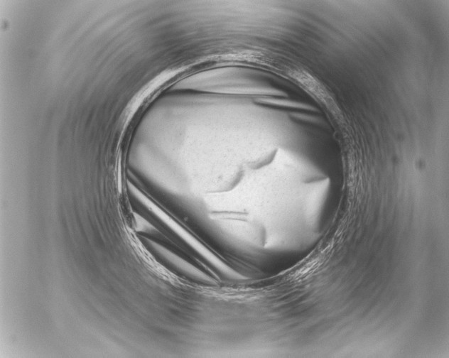 X0000054471036200508191723