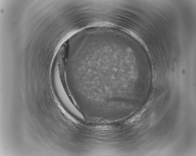 X0000054471037200508191723