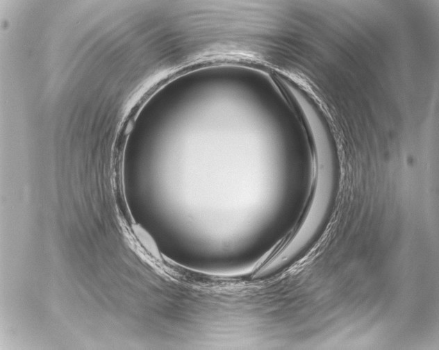 X0000054471038200508191723