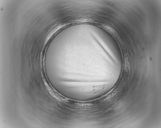 X0000054471039200508191723