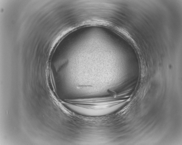 X0000054471040200508191723