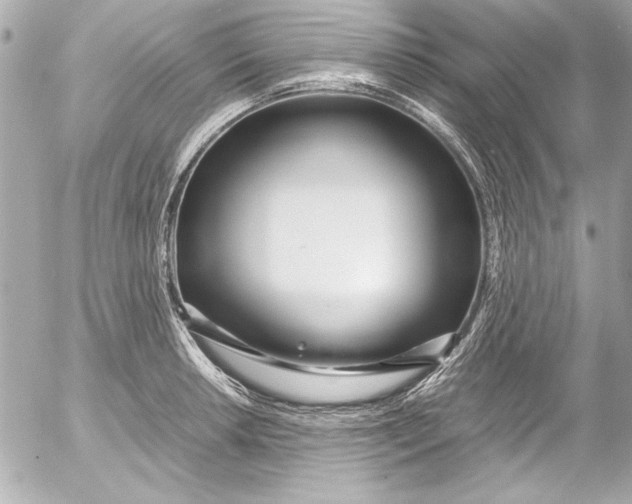 X0000054471042200508191723