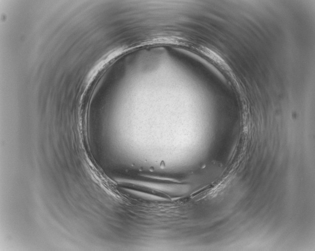 X0000054471043200508191723