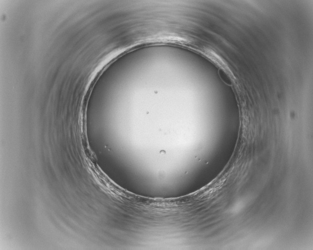 X0000054471044200508191723