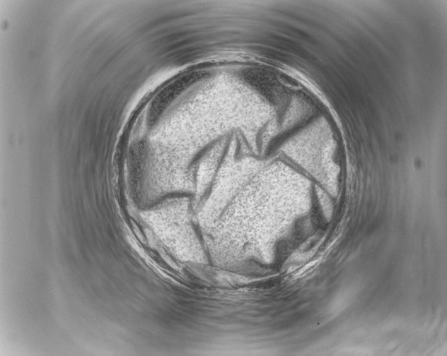 X0000054471045200508191723