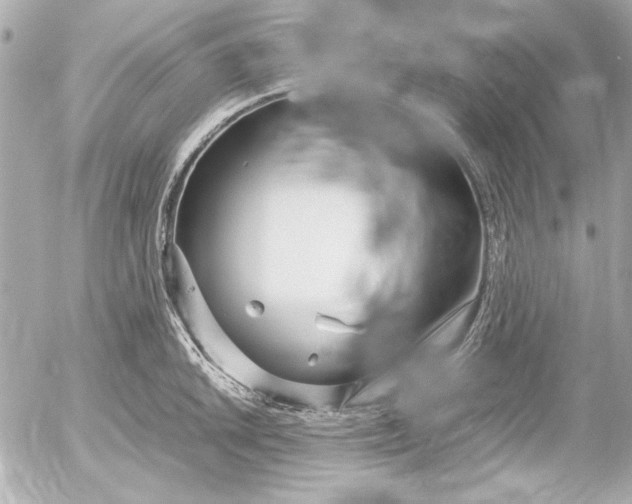 X0000054471046200508191723