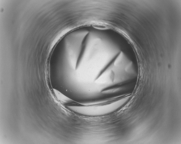 X0000054471048200508191723