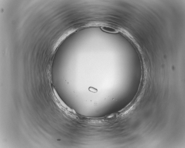 X0000054471049200508191723