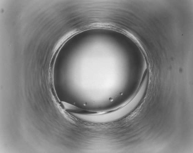 X0000054471050200508191723