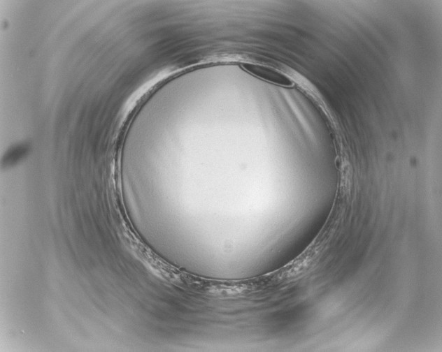 X0000054471051200508191723