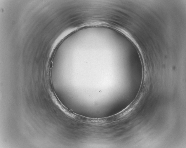 X0000054471053200508191723