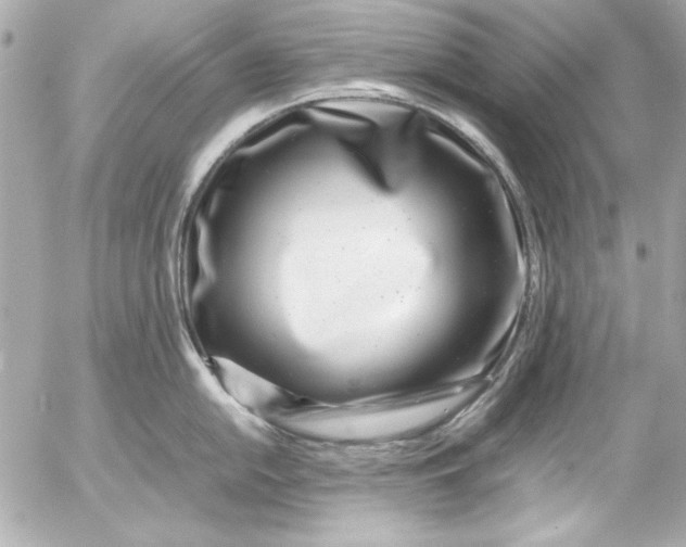 X0000054471054200508191723