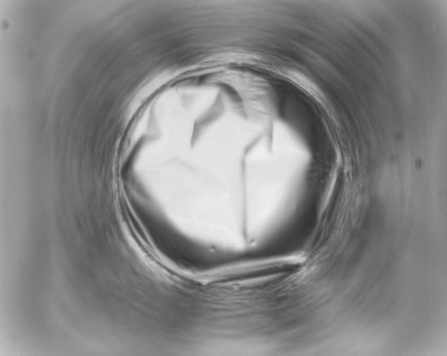 X0000054471055200508191723