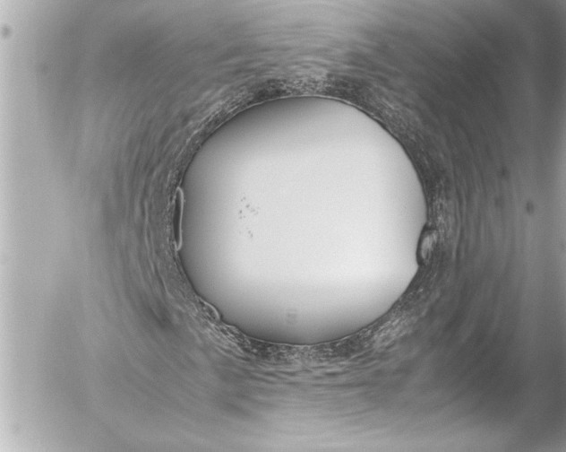 X0000054471057200508191722