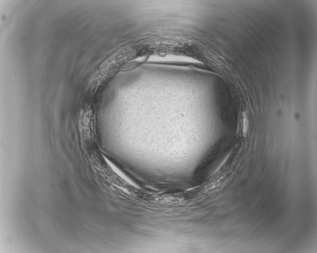 X0000054471059200508191722