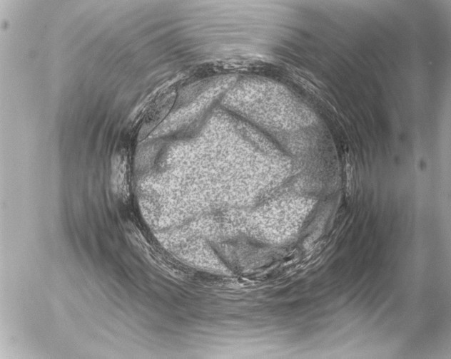 X0000054471060200508191722