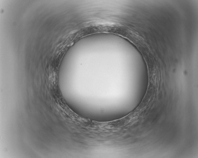 X0000054471061200508191722