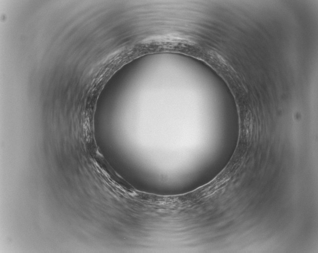 X0000054471062200508191722