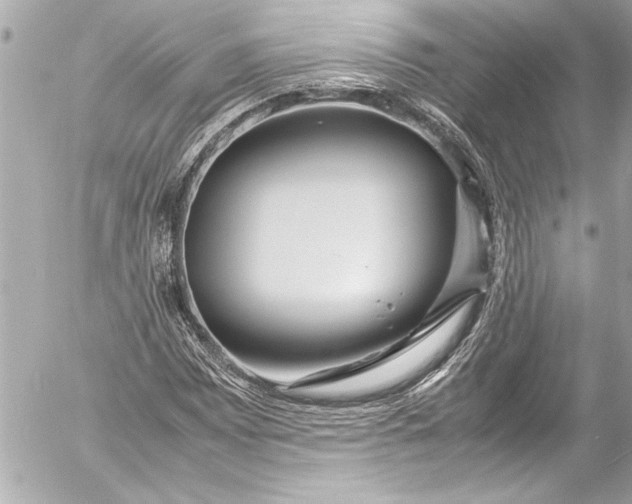 X0000054471065200508191722