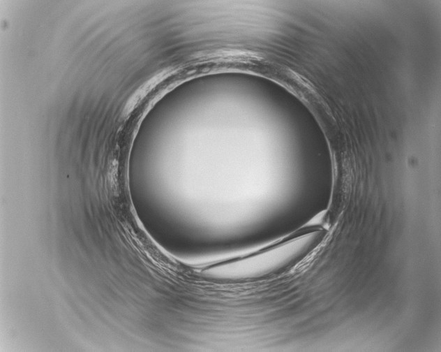 X0000054471066200508191722