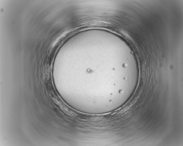 X0000054471067200508191722