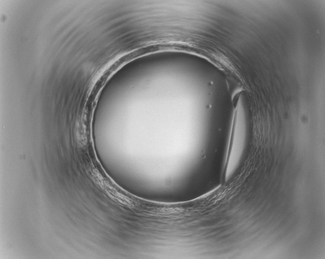 X0000054471068200508191722