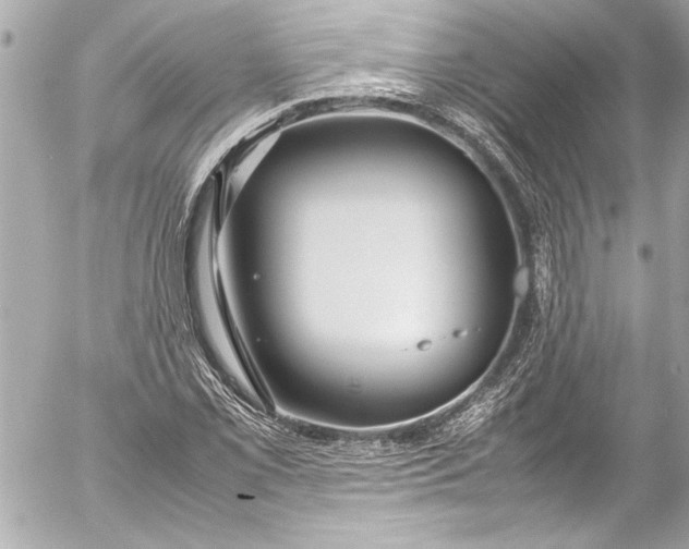 X0000054471069200508191722