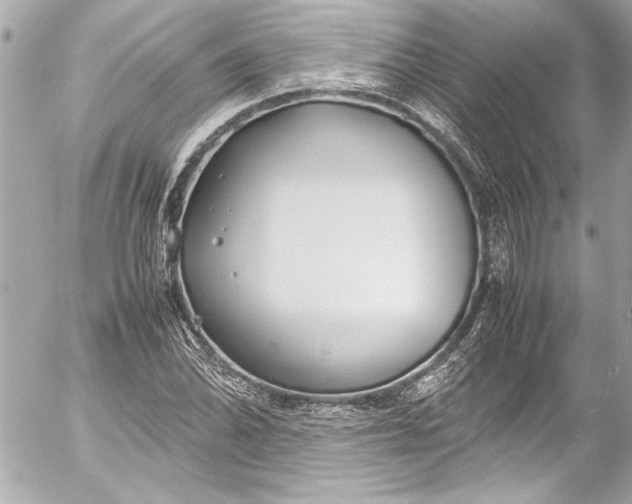 X0000054471070200508191722