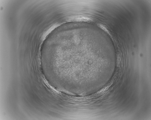 X0000054471071200508191722