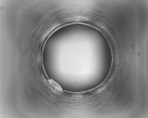 X0000054471073200508191722