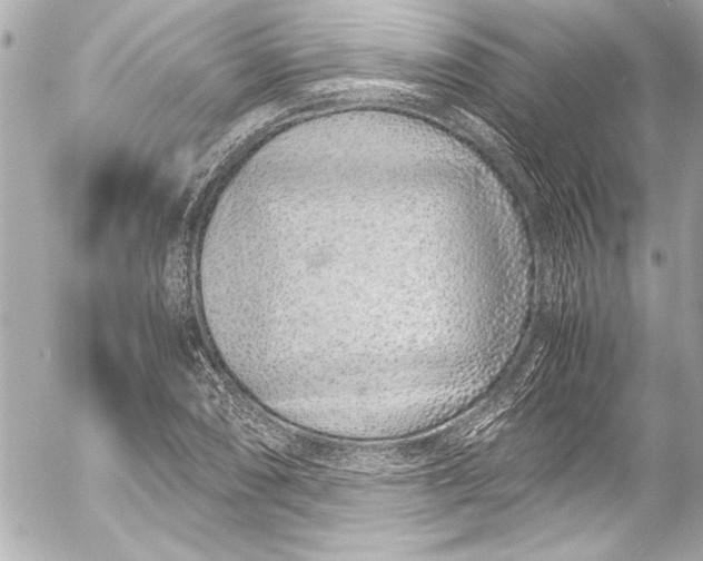 X0000054471074200508191722