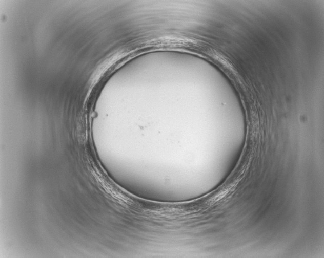 X0000054471075200508191722