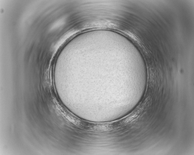 X0000054471078200508191722