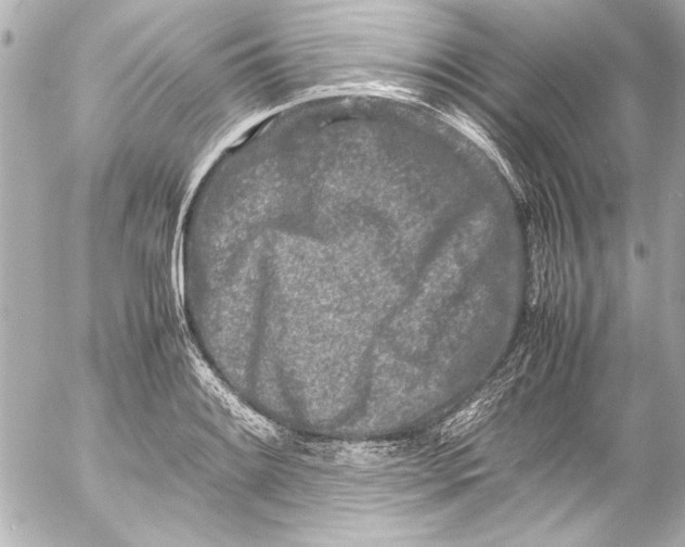 X0000054471084200508191722