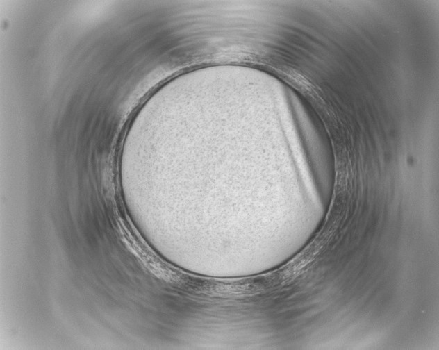 X0000054471086200508191722