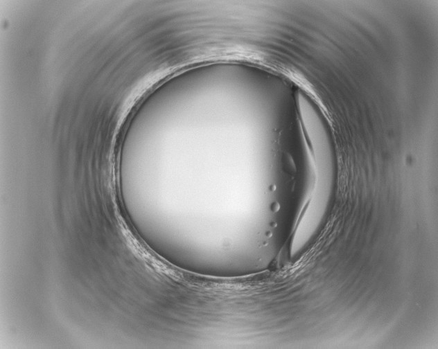 X0000054471088200508191722