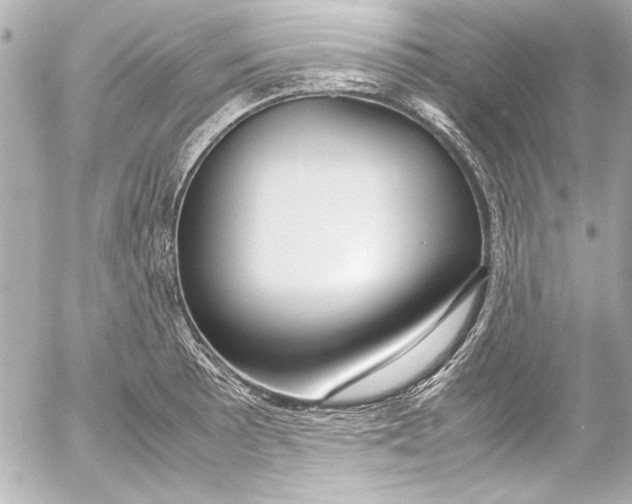 X0000054471089200508191722