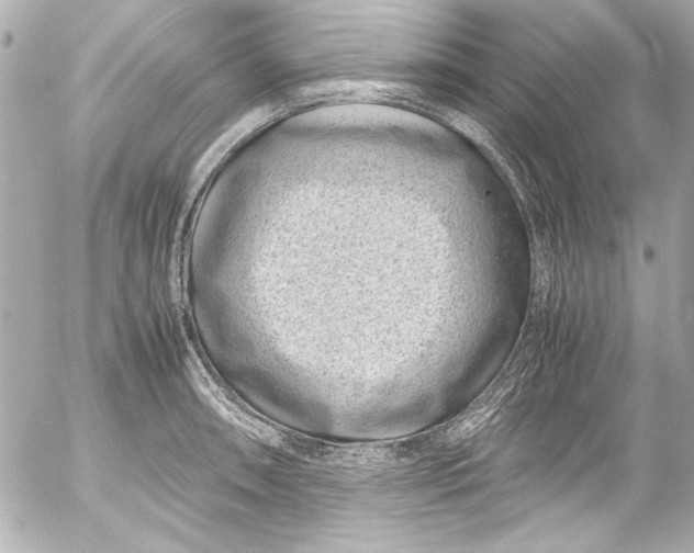 X0000054471090200508191722