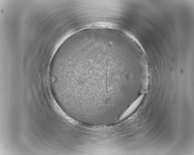 X0000054471091200508191722