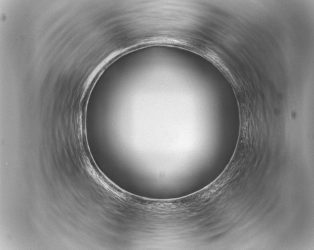 X0000054471092200508191722