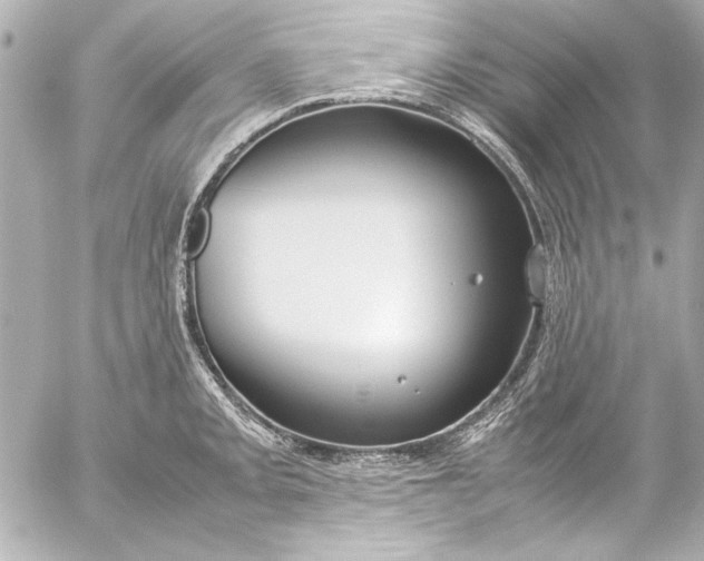 X0000054471093200508191721