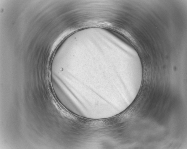 X0000054471094200508191721