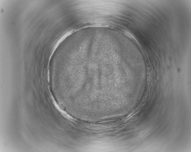 X0000054471095200508191721