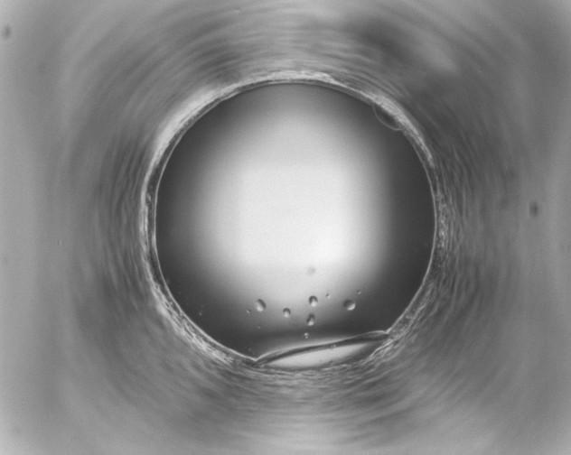 X0000054471096200508191721