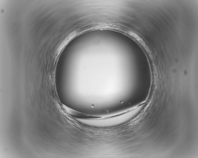 X0000054471097200508191721