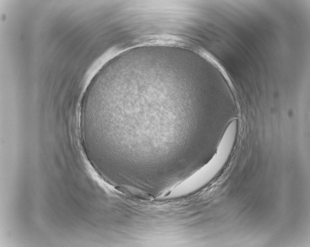 X0000054471099200508191721