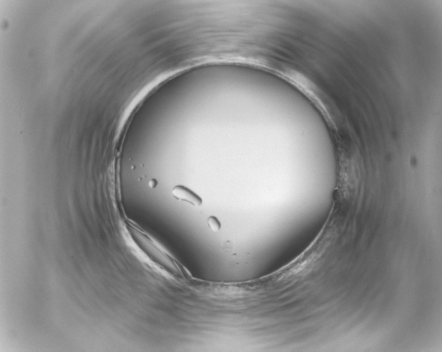 X0000054471100200508191721